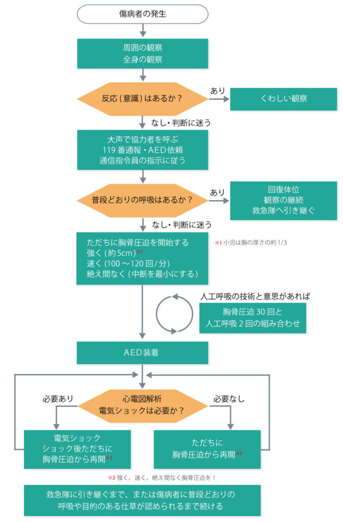 一次救命処置(BLS)の手順